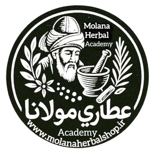 هدر سایت
