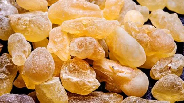 سقز